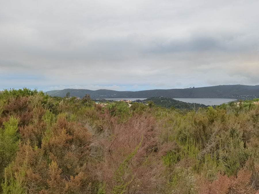 0 Bedroom Property for Sale in Eastford Downs Western Cape
